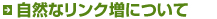 リンク施工スケジューリング