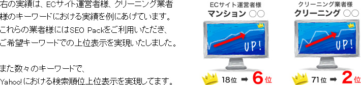 SEO対策 激安 Packの実績 イメージ1