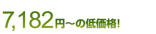 価格は業界最安値保証付!5382円~の低価格!