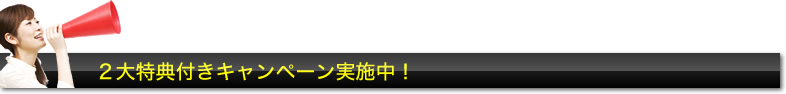 SEO対策 激安 Pack 2大特典キャンペーン実施中!