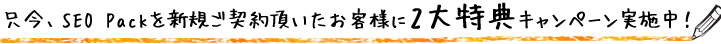 SEO対策 激安 只今Pack新規契約いただいたお客様に2大特典キャンペーン実施中！