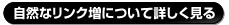 リンク施工スケジューリングとは