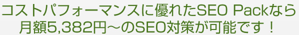 コストパフォーマンスに優れたSEO Packなら月額5382円～のSEO対策が可能です。